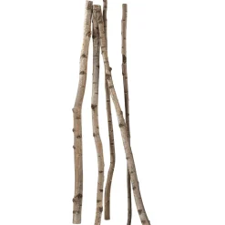 DecoWoerner Decoración Natural|Decoración Temática>Troncos De Abedul Decorativos, 220 Cm