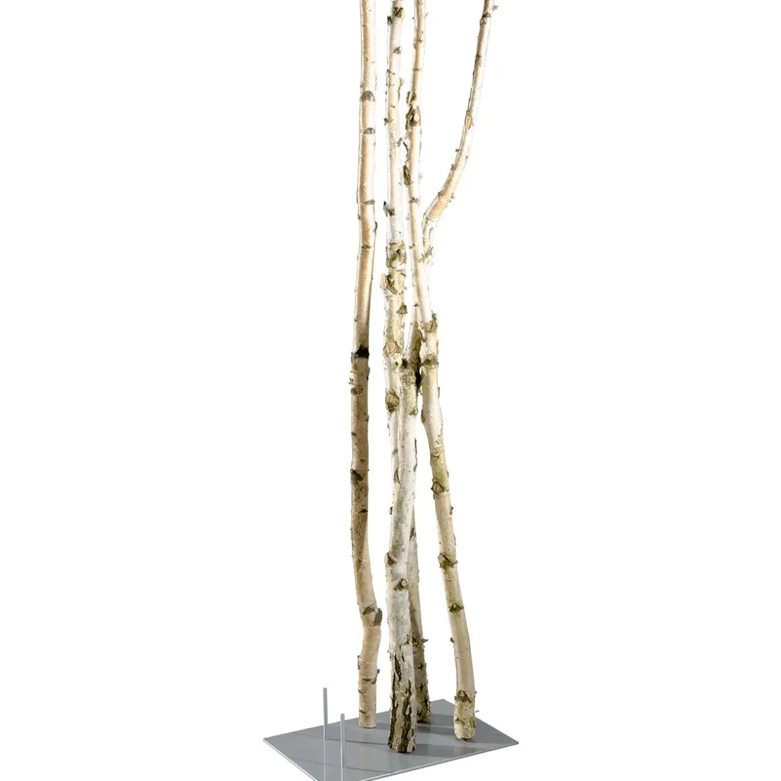 DecoWoerner Decoración Natural|Decoración Temática>Troncos De Abedul Decorativos, 220 Cm