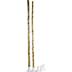 DecoWoerner Decoración Natural|Decoración Temática><noscript><img width=