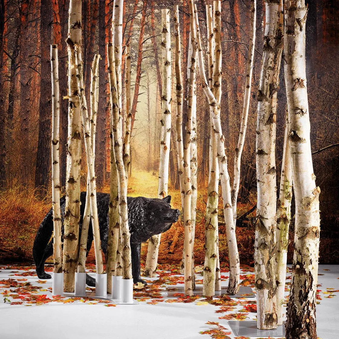 DecoWoerner Decoración Natural|Decoración Temática>Troncos De Abedul Decorativos, 220 Cm