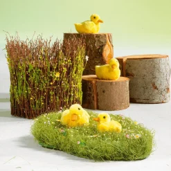 DecoWoerner Decoración Natural|Decoración De Otoño><noscript><img width=