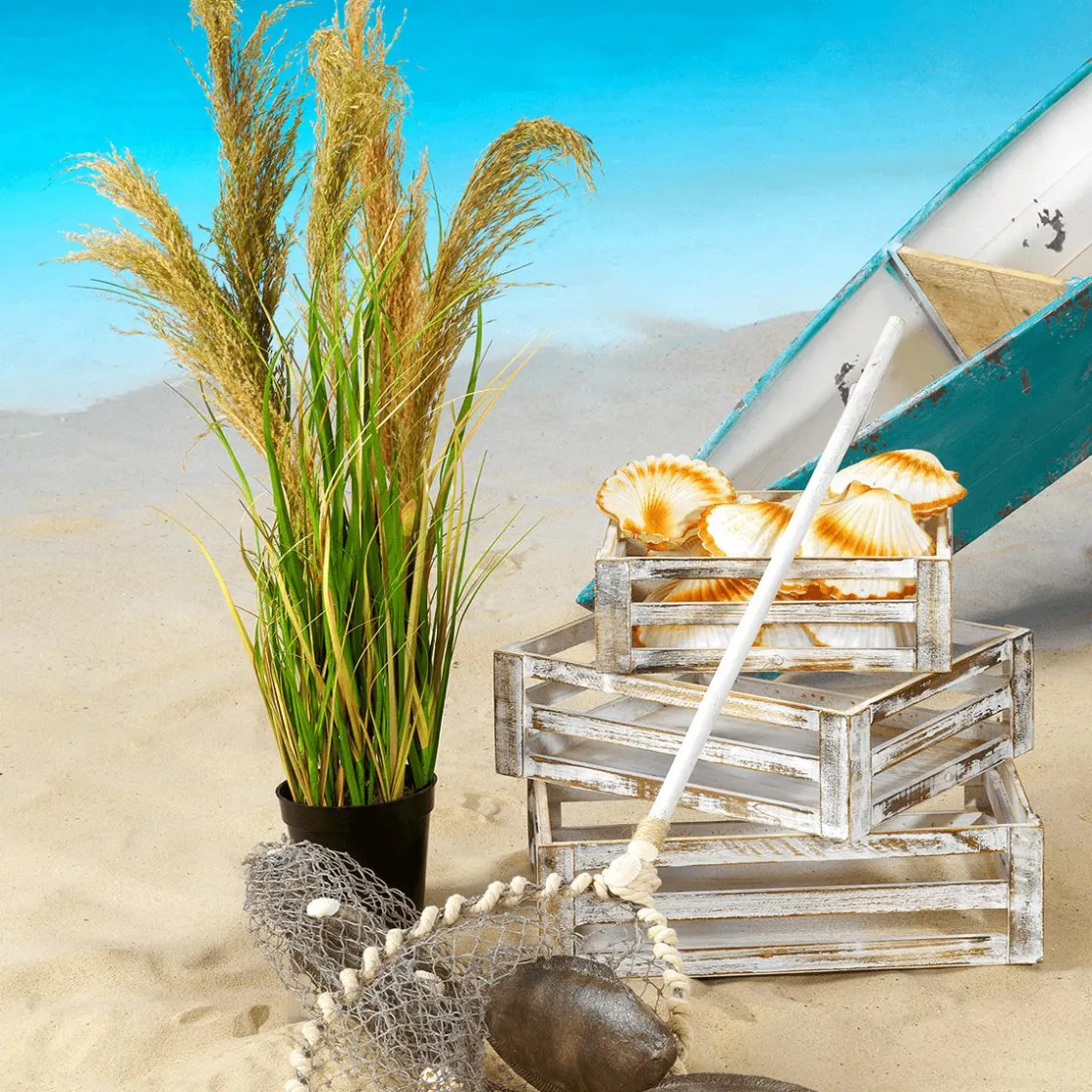 DecoWoerner Decoración De Verano>Vieiras Decorativas, Ø 10 Cm