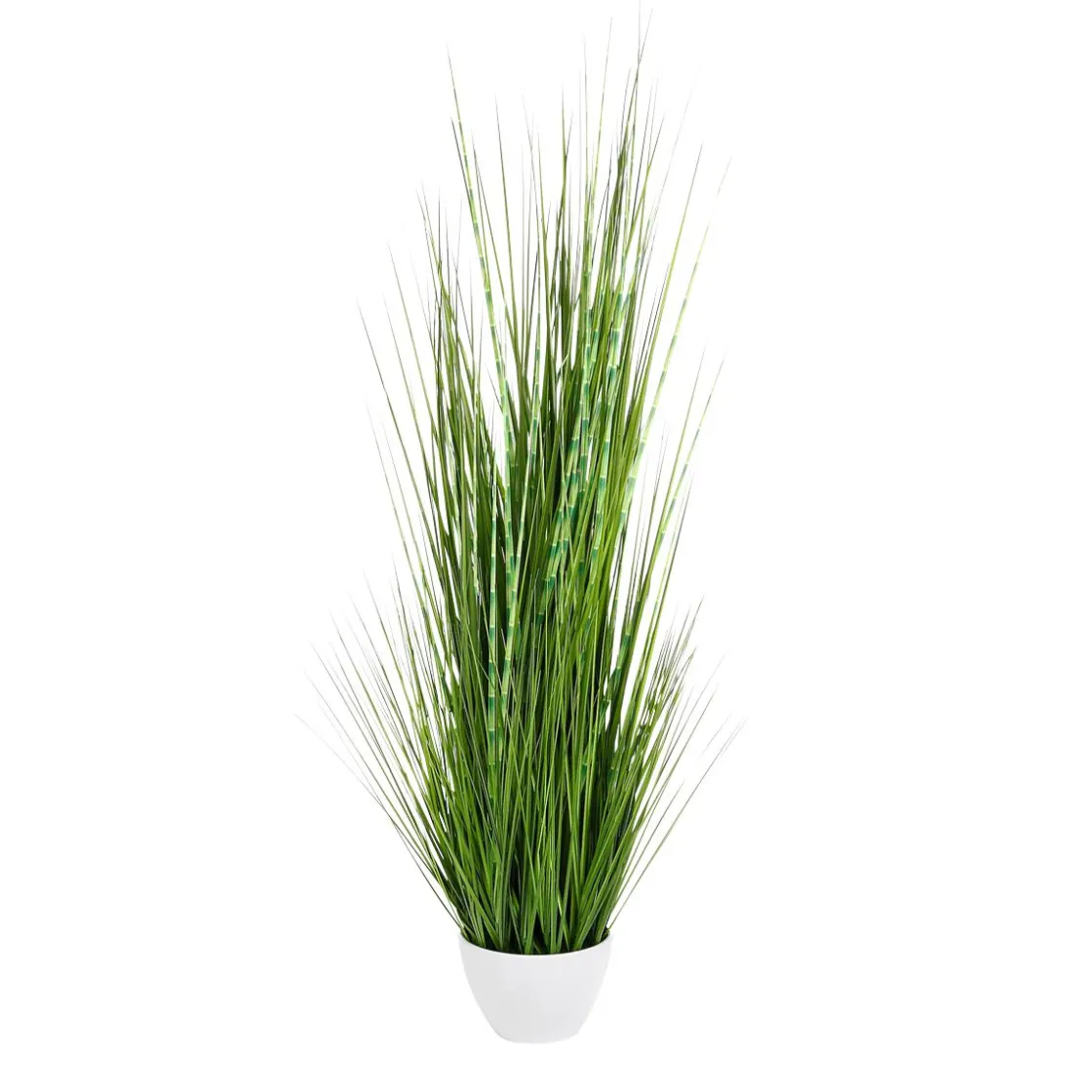 DecoWoerner Hierba Decorativa>XXL Deco Tiger Grass En Maceta Blanca 120 Cm