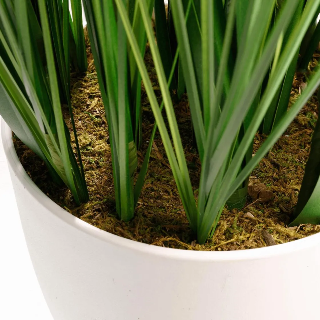DecoWoerner Hierba Decorativa>XXL Deco Tiger Grass En Maceta Blanca 120 Cm