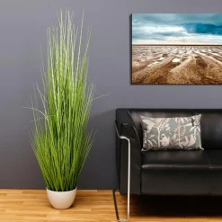DecoWoerner Plantas De Interior|Hierba Decorativa><noscript><img width=