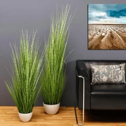 DecoWoerner Plantas De Interior|Hierba Decorativa><noscript><img width=